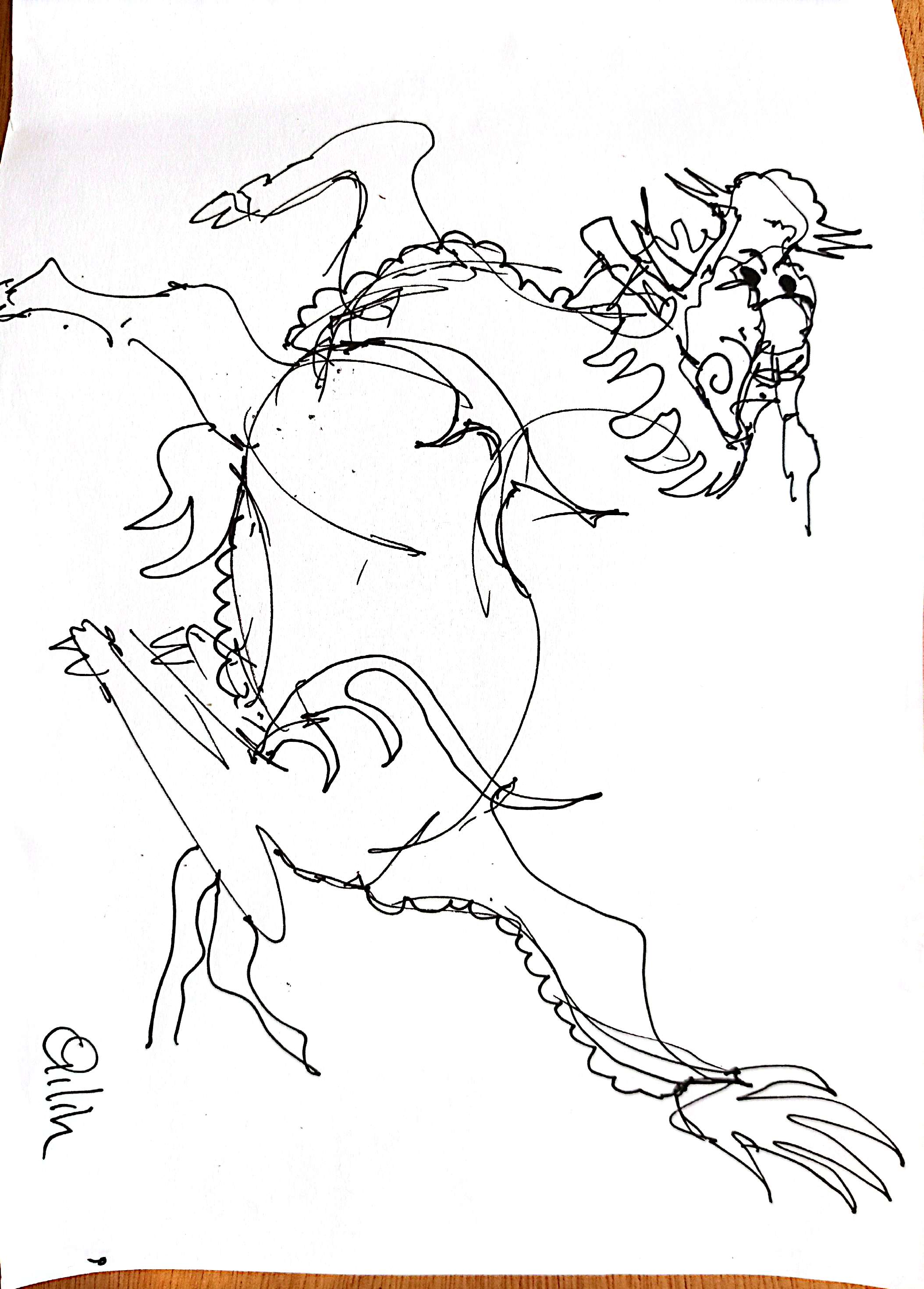 drawings